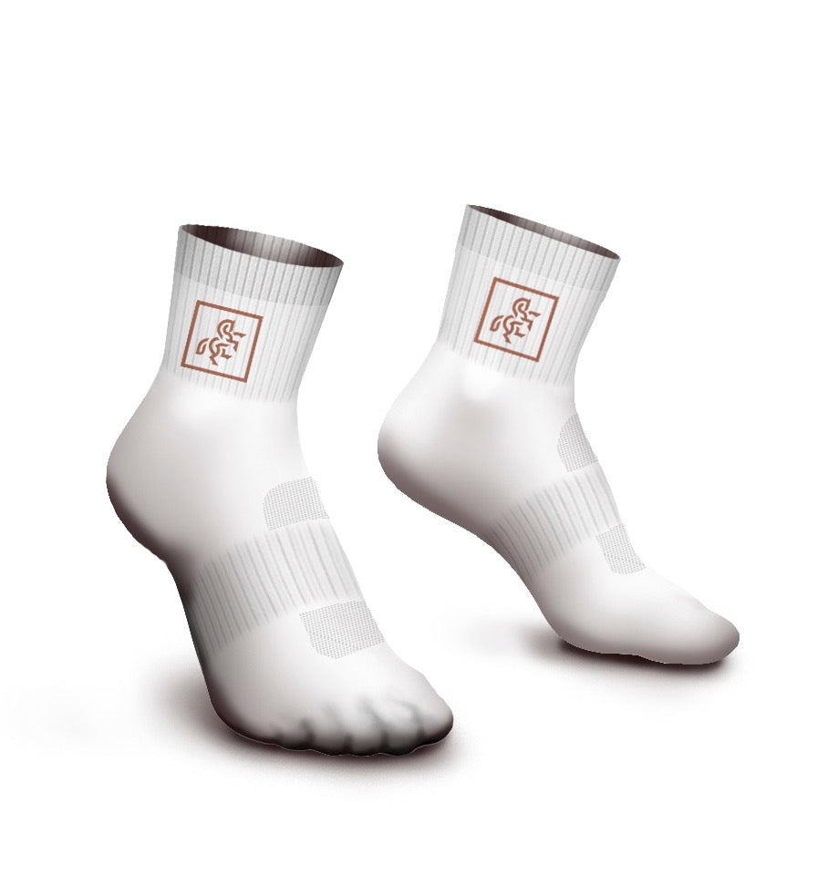 White Socks HP Logo