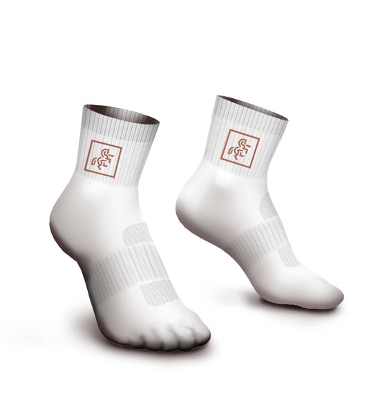 White Socks HP Logo