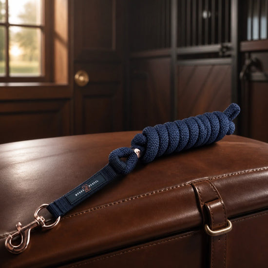 Leash Blue/Bronze Buckles