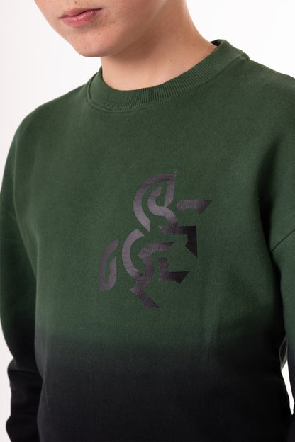 Kids' Ombrey Sweatshirt