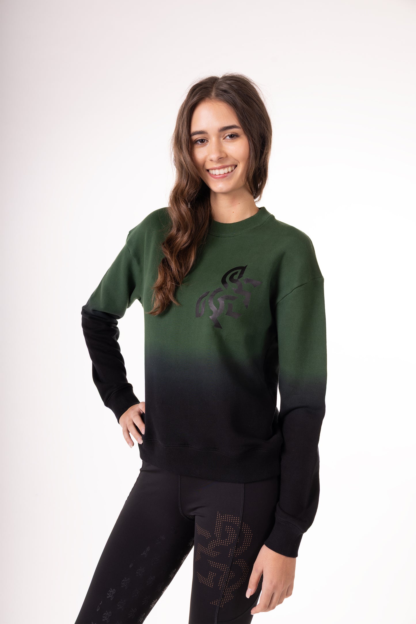 Unisex Ombrey Sweatshirt