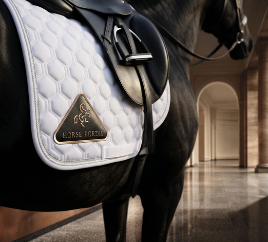 Dressage Saddle Pad White